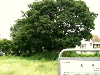 cameraroll-1316163077.579190.jpeg